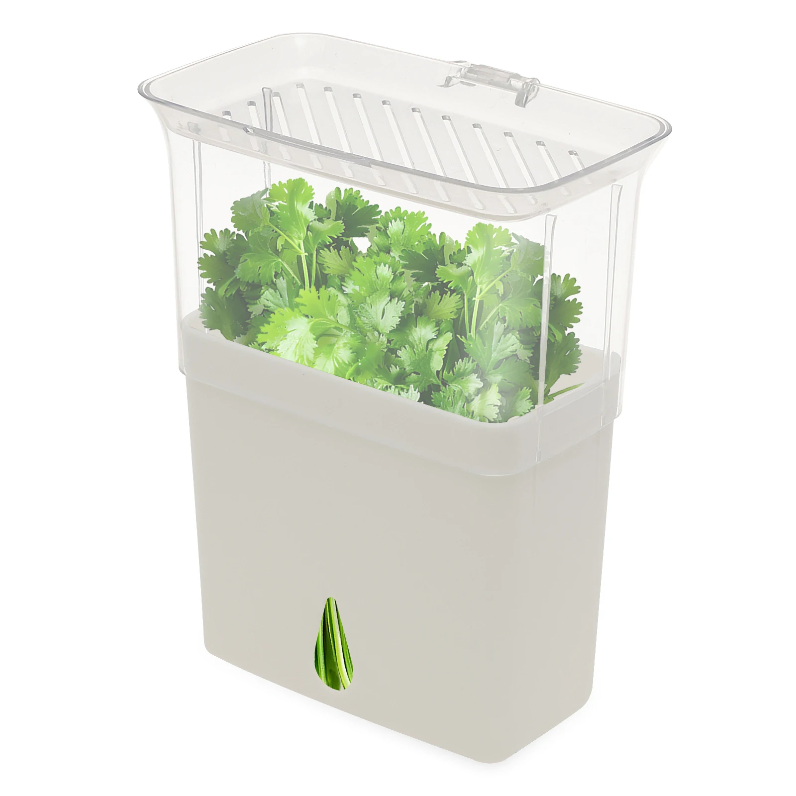 Herb Keeper Container - Clear Herb Saver Storage Container Airtight