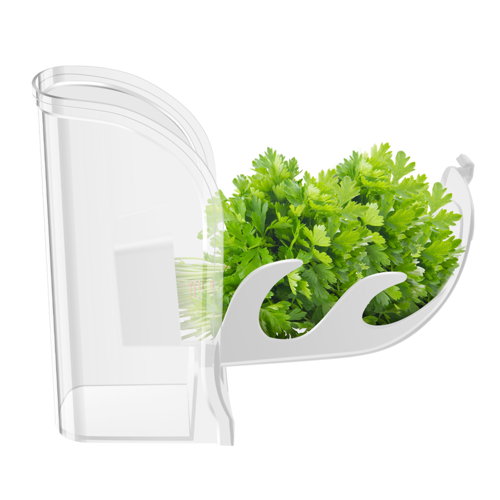 Herb Crisper Saver Container R - Herb Keeper Container recension och pris