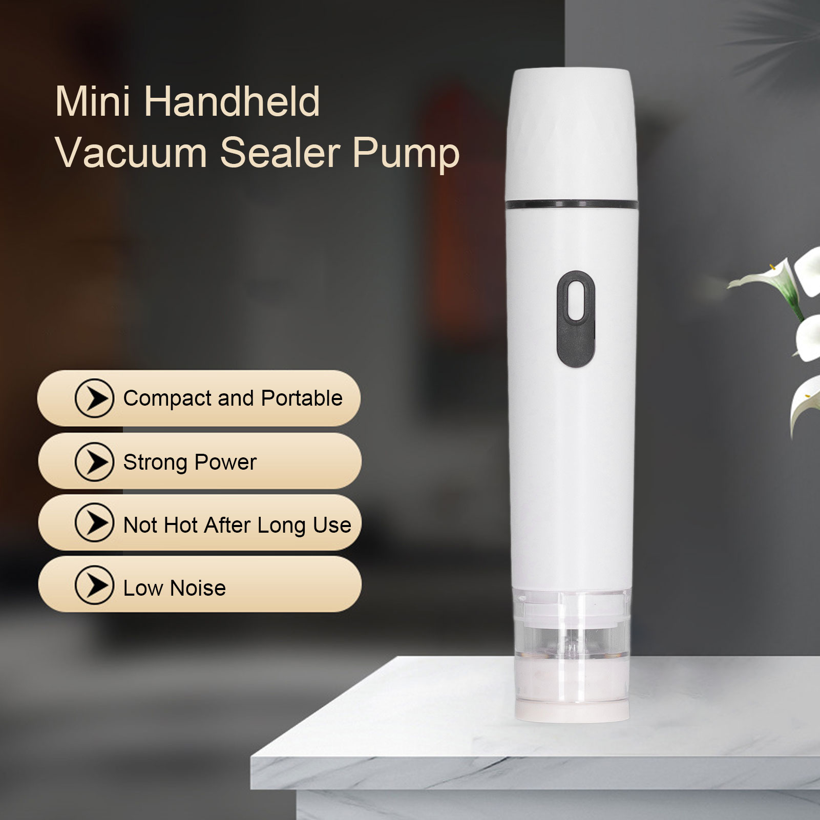 Electric Air Pump Handheld Vac - Food Storage Vacuum Seal recension och pris