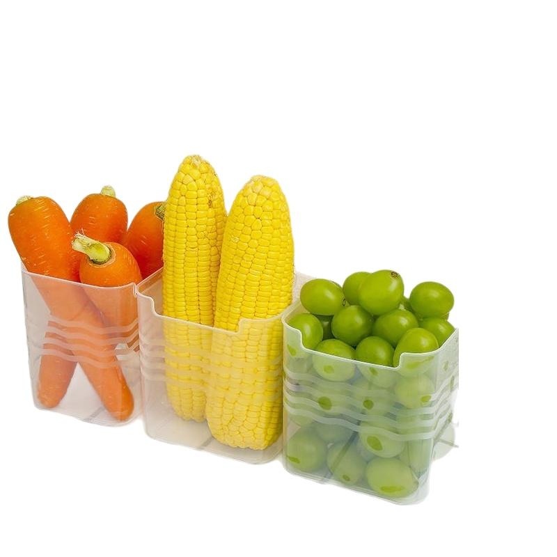 #Clear Refrigerator Food Sorti - Food Storage Plastic Container recension och pris