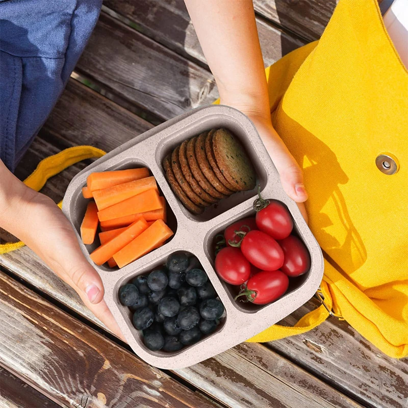 4 Grids Food Storage Box Porta - Food Storage Vegetables recension och pris