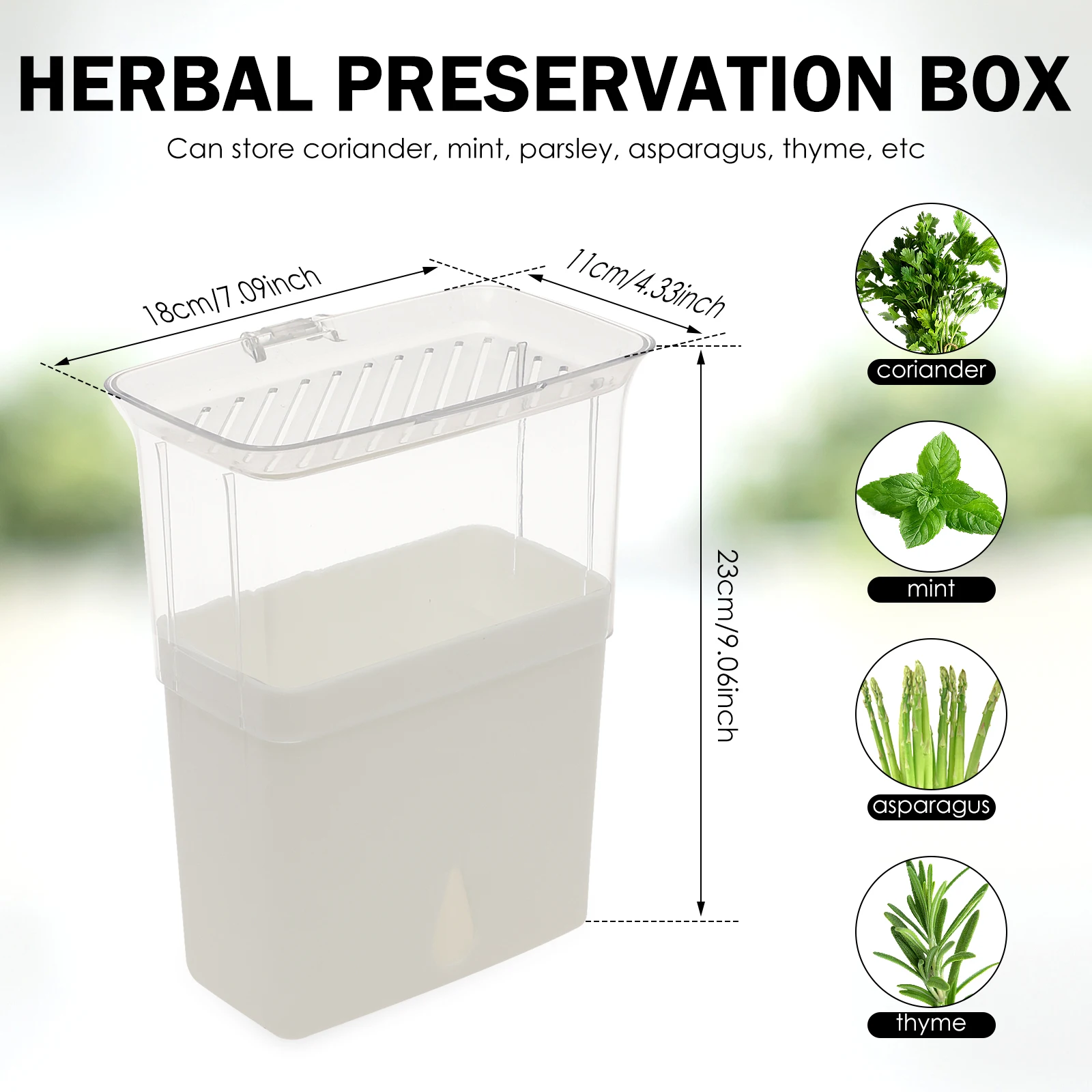Clear Herb Saver Storage Conta - Herb Keeper Container recension och pris