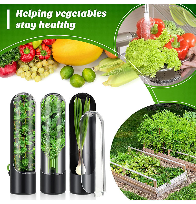 Vegetables Fresh Preservation  - Herb Keeper Container recension och pris