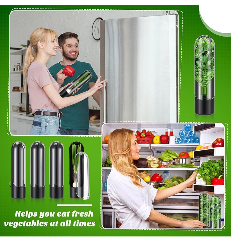 Vegetables Fresh Preservation  - Herb Keeper Container recension och pris